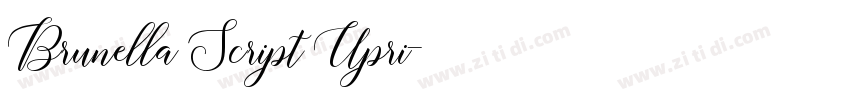 Brunella Script Upri字体转换